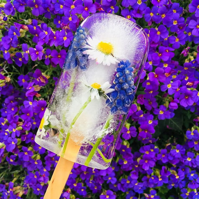 Flowers in ice