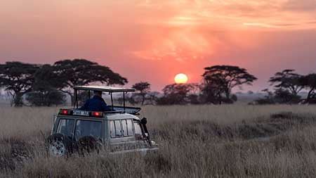 Going on a photographic safari Take a look at our top tips before you go
