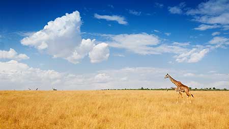 10 questions for 10 top wildlife photographers